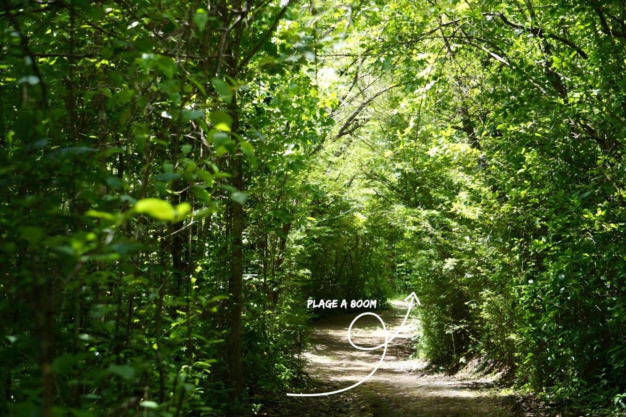 Aparthotel Domaine De L'Anse Ramier Les Trois-Ilets Exteriér fotografie