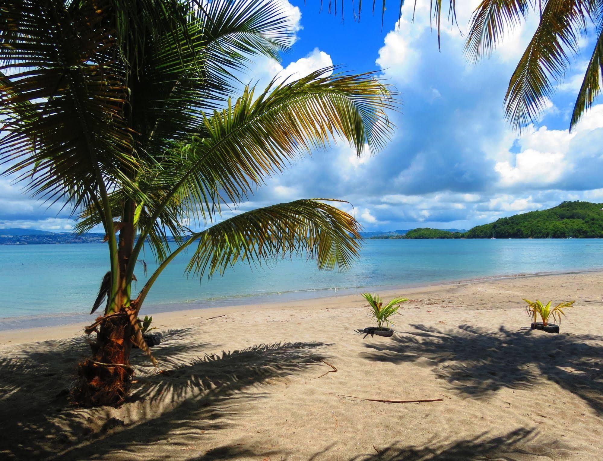 Aparthotel Domaine De L'Anse Ramier Les Trois-Ilets Exteriér fotografie