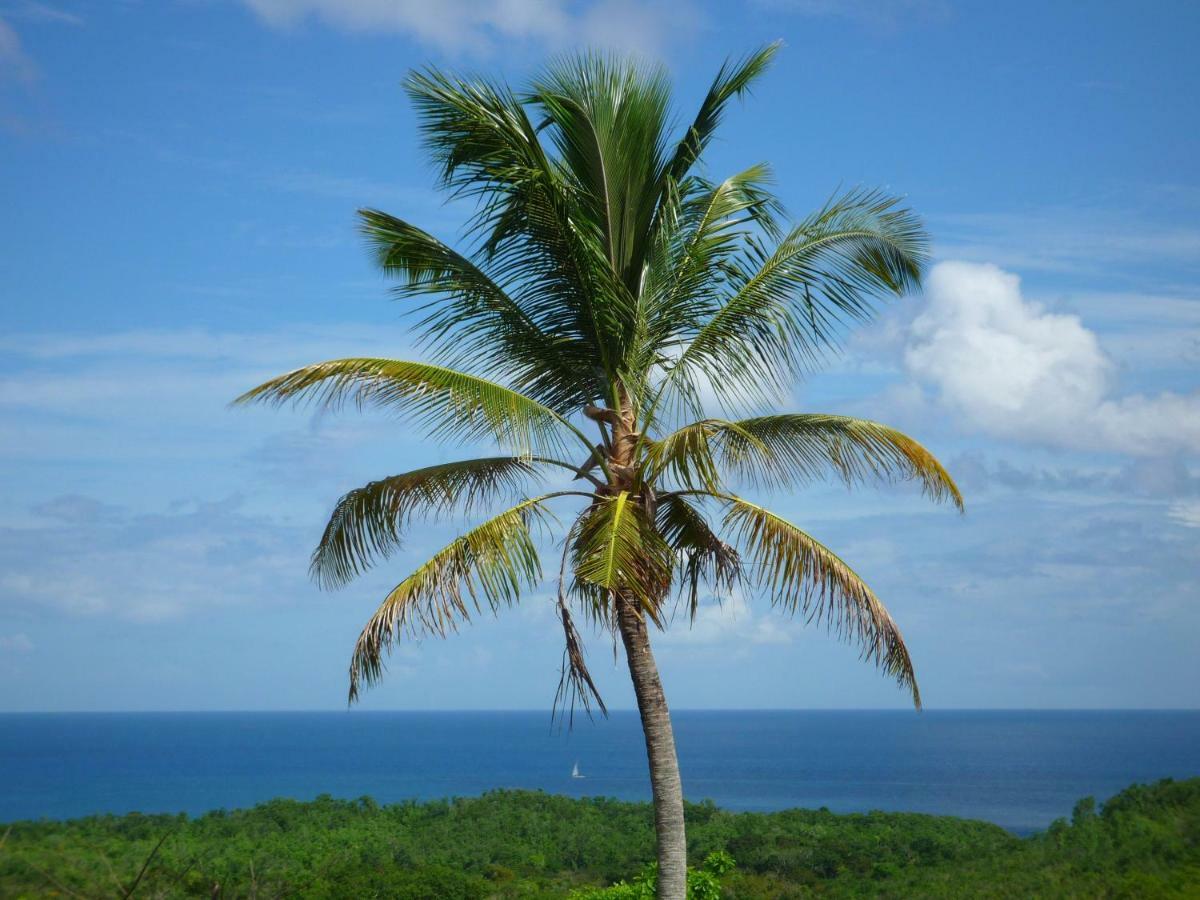 Aparthotel Domaine De L'Anse Ramier Les Trois-Ilets Exteriér fotografie